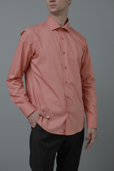 Оранжевая сорочка Allan Neumann Regular fit 000016 