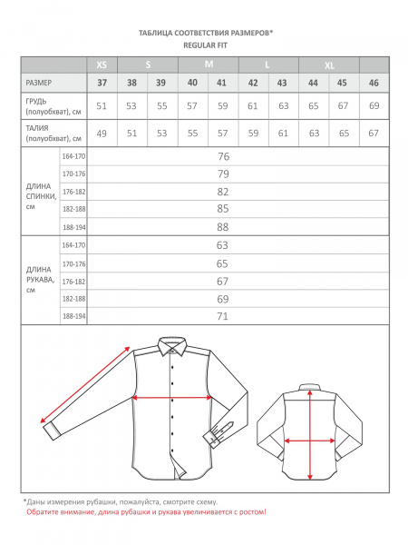 Голубая сорочка Dave Raball Regular fit 000259 