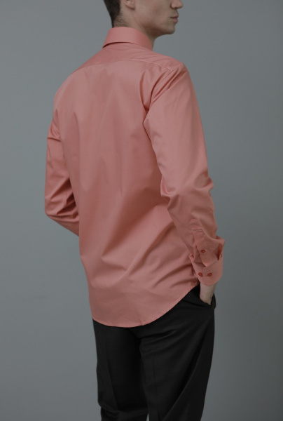 Оранжевая сорочка Allan Neumann Regular fit 000016 