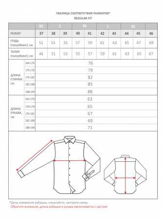Рубашка Colletto Nuovo Regular fit серая 000228 